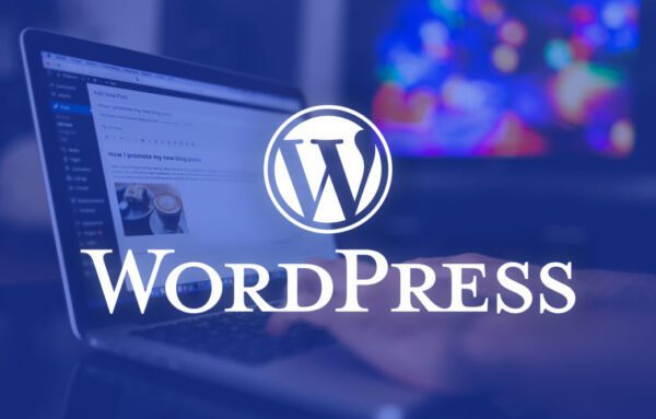 WordPress Curso Completo de Criação de Temas Responsivos